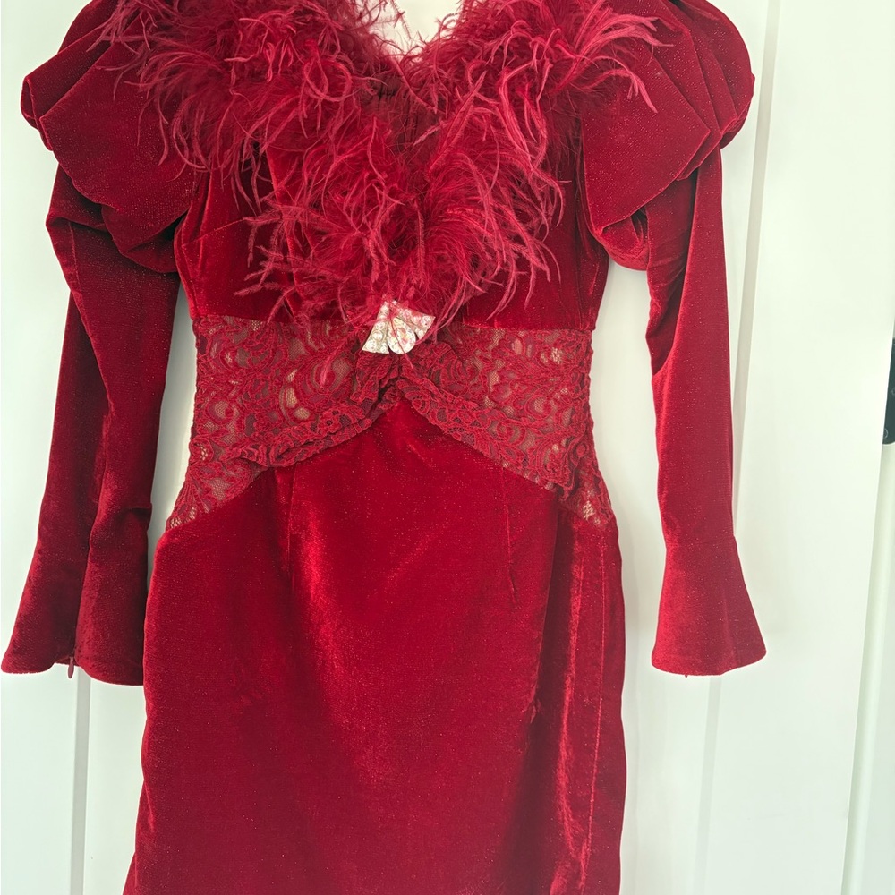 Elegant Red Velvet Dress with Feather Trim
